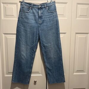 The Way High Jean -Everlane